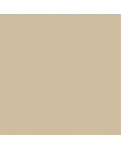 Granite Floor Tile TS5-602